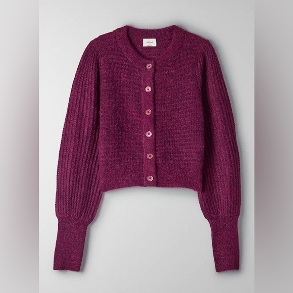 Aritzia Sweaters - Wilfred Alessia Cardigan